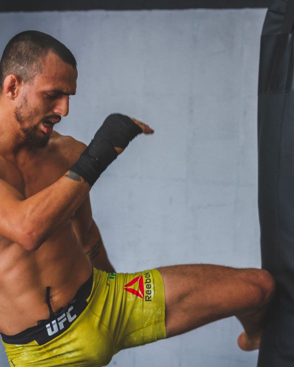 BOTCH Black Belt Set – Check Your Mate